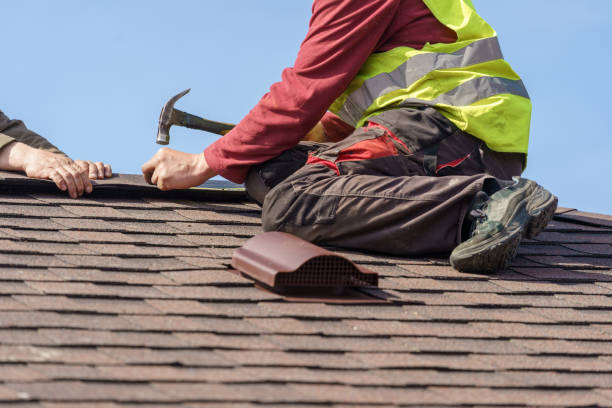 Best Roof Maintenance Services  in Roanoke, IL