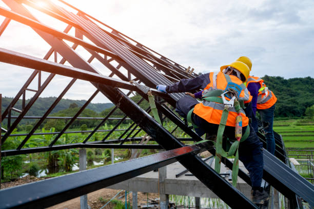 Best Storm Damage Roof Repair  in Roanoke, IL