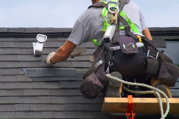 Best Roof Waterproofing Services  in Roanoke, IL