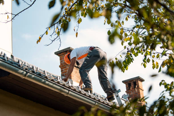 Best Roofing Contractor Near Me  in Roanoke, IL