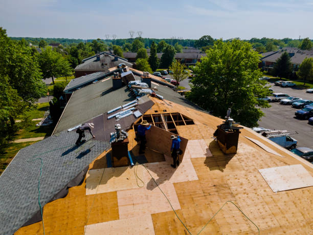 Best Best Roofing Contractors  in Roanoke, IL