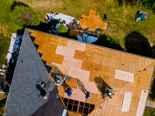 Best Local Roofing Companies  in Roanoke, IL