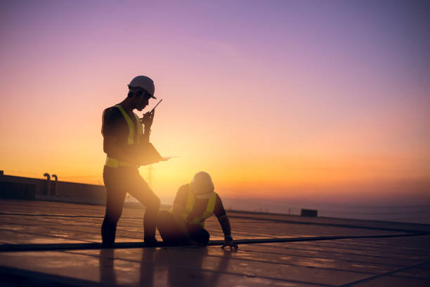 Best Flat Roof Repair Services  in Roanoke, IL