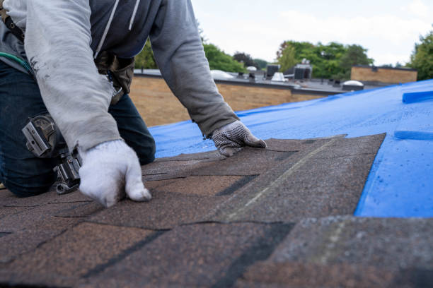 Best New Roof Installation  in Roanoke, IL
