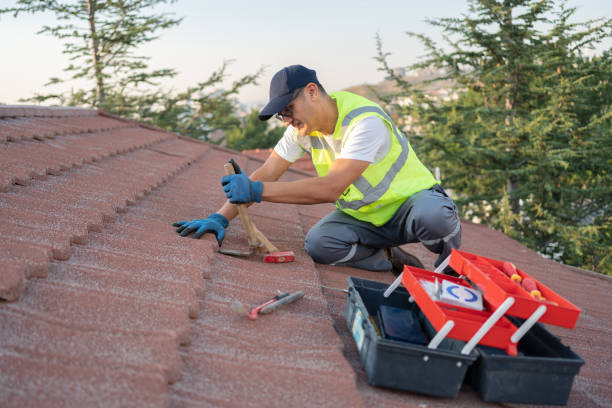 Best Shingle Roofing Installation  in Roanoke, IL