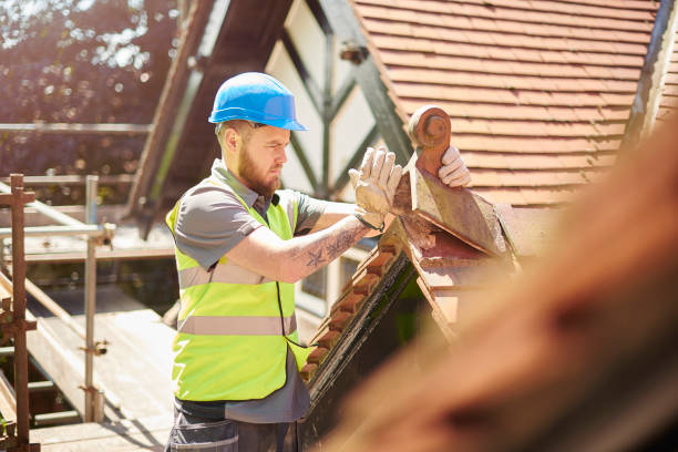 Best Roof Gutter Cleaning  in Roanoke, IL