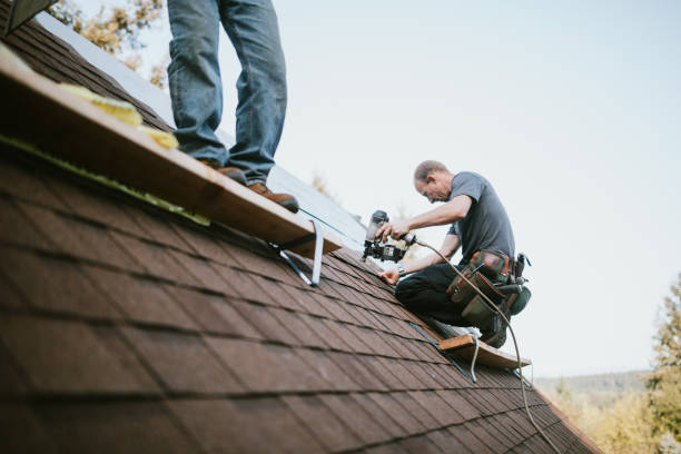 Best Commercial Roofing Services  in Roanoke, IL